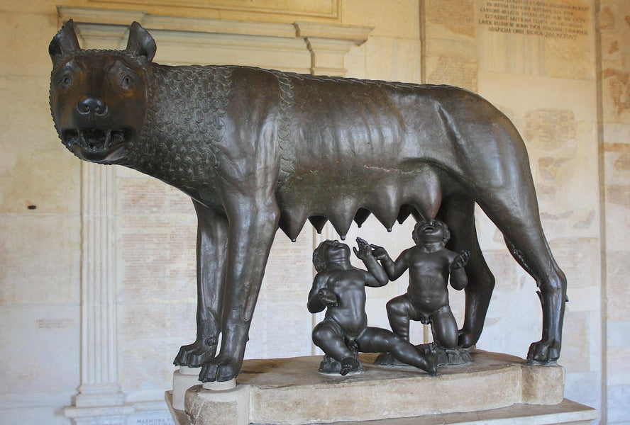 La Louve, Romulus et Rémus : Un Symbole Antique au Cœur de Nos Créations
