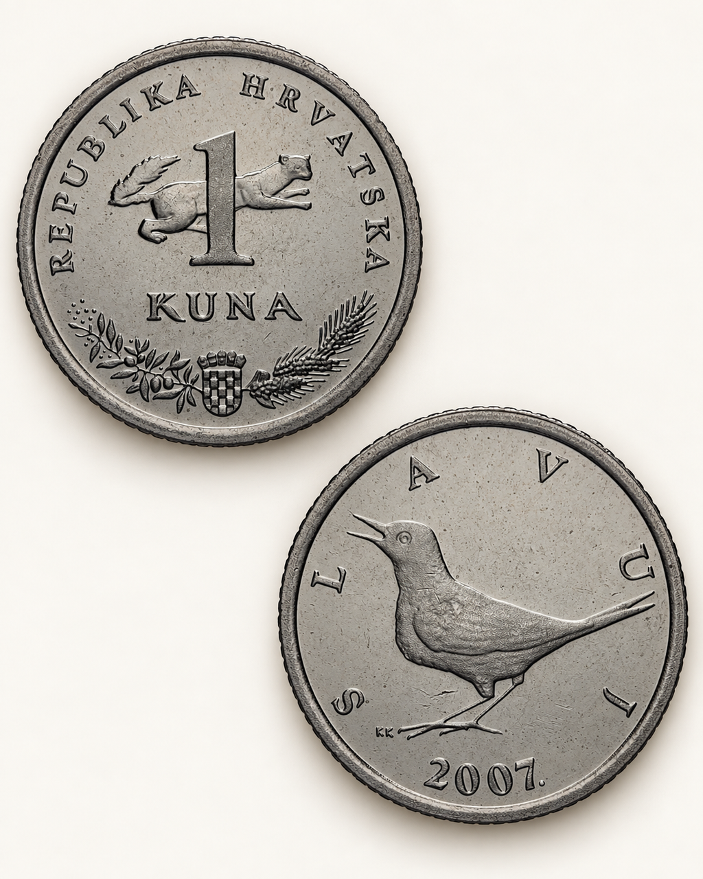 Les deux faces d’une pièce croate de 1 kuna : valeur et martre à l’avers, rossignol au revers.