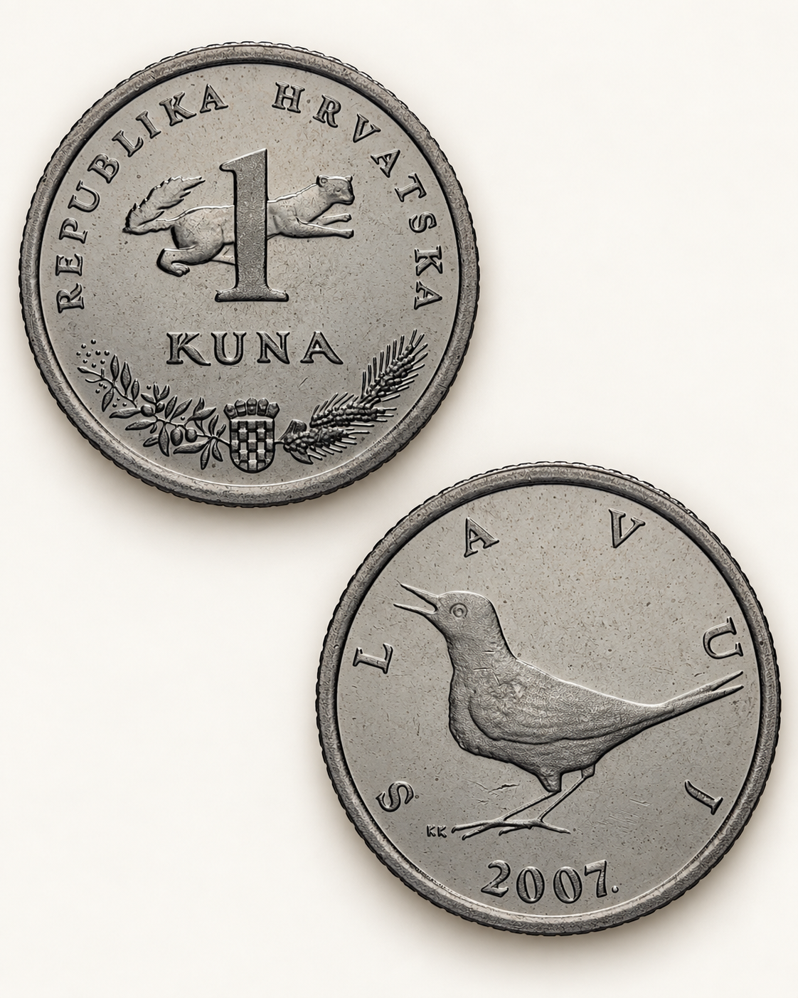 Les deux faces d’une pièce croate de 1 kuna : valeur et martre à l’avers, rossignol au revers.