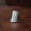 Bague piece de monnaie cintrée Elizabeth II 2e effigie - 5 new pence